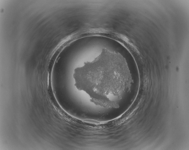 X0000085271221200703161421