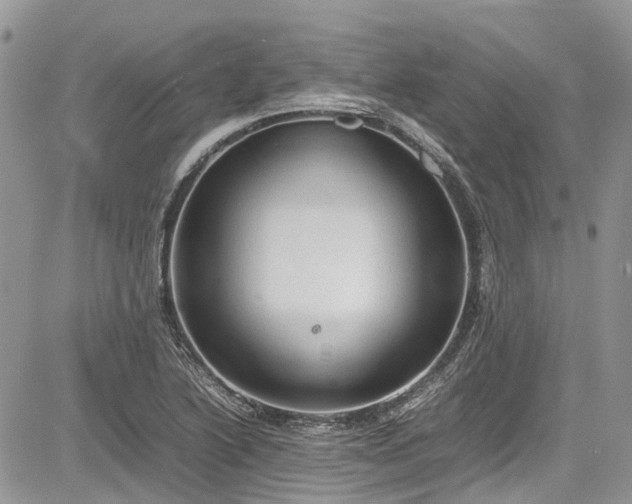 X0000085271222200703161421