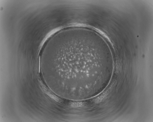 X0000085271223200703161421