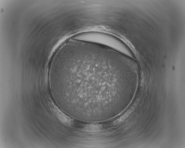 X0000085271224200703161421