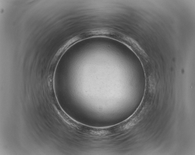 X0000085271225200703161421