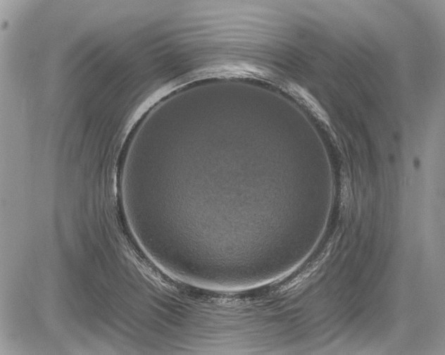 X0000085271226200703161421