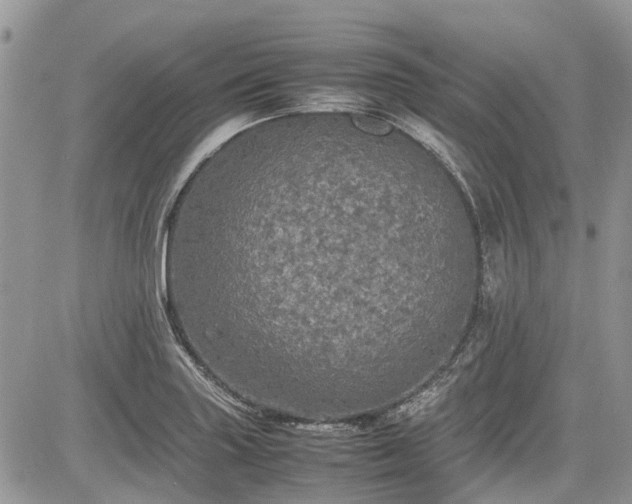 X0000085271227200703161421