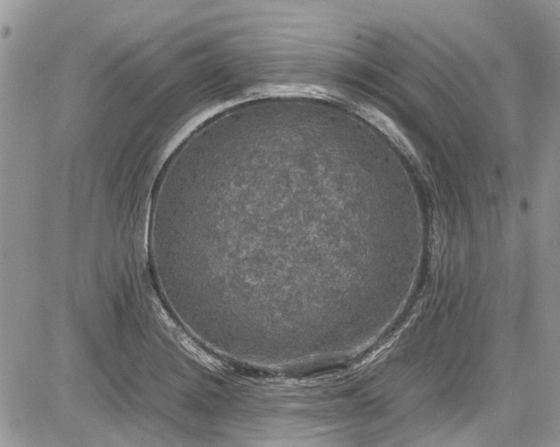 X0000085271228200703161421