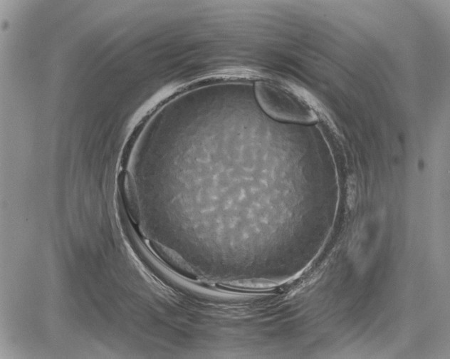 X0000085271229200703161421