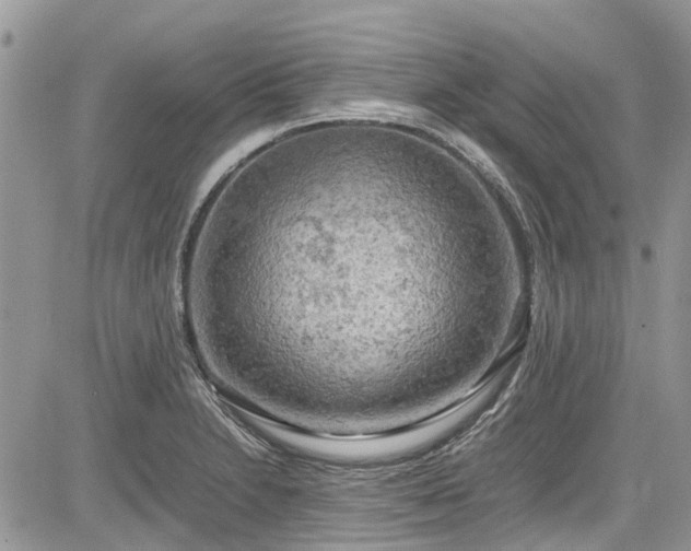 X0000085271230200703161421