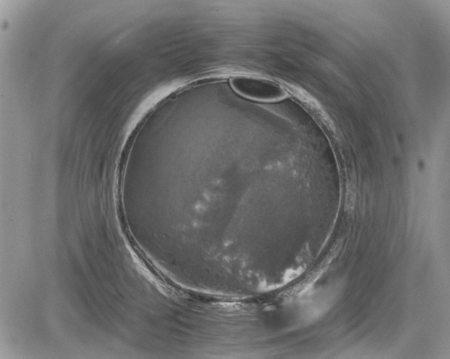 X0000085271231200703161421