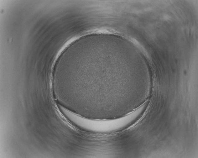 X0000085271232200703161421