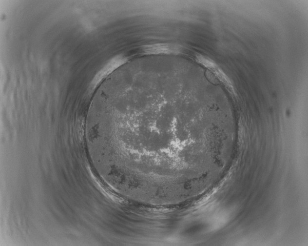 X0000085271233200703161421