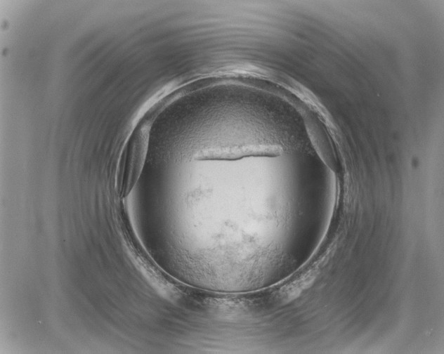 X0000085271234200703161421