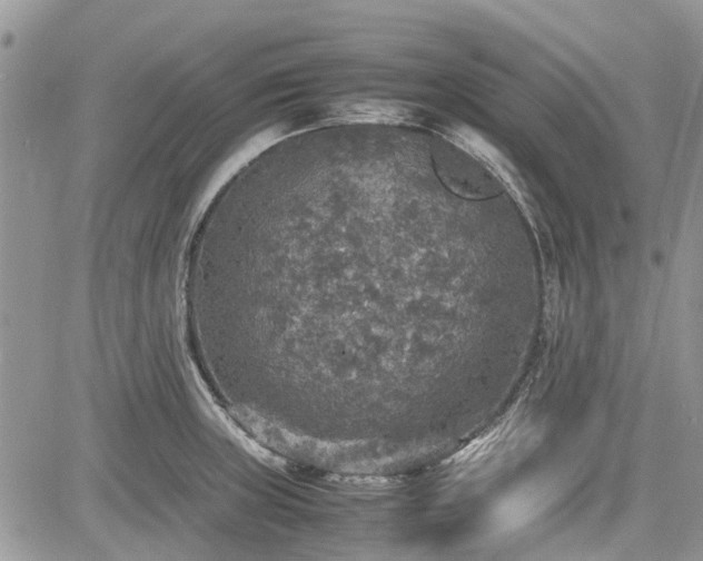 X0000085271235200703161421