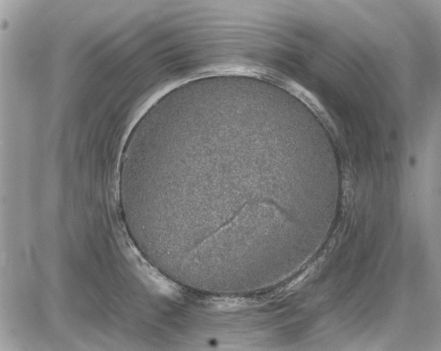 X0000085271236200703161421