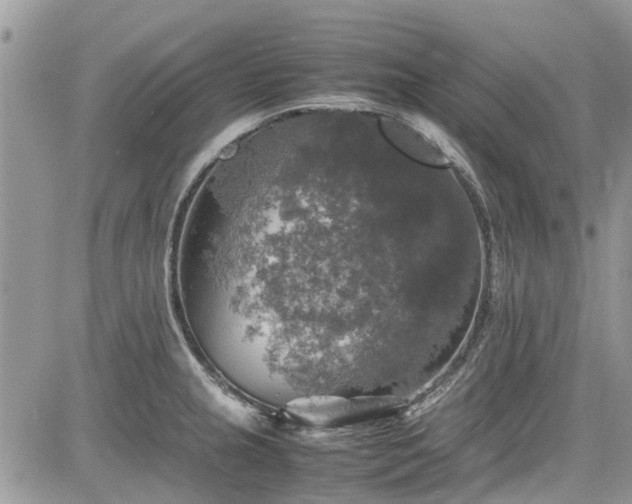 X0000085271237200703161421