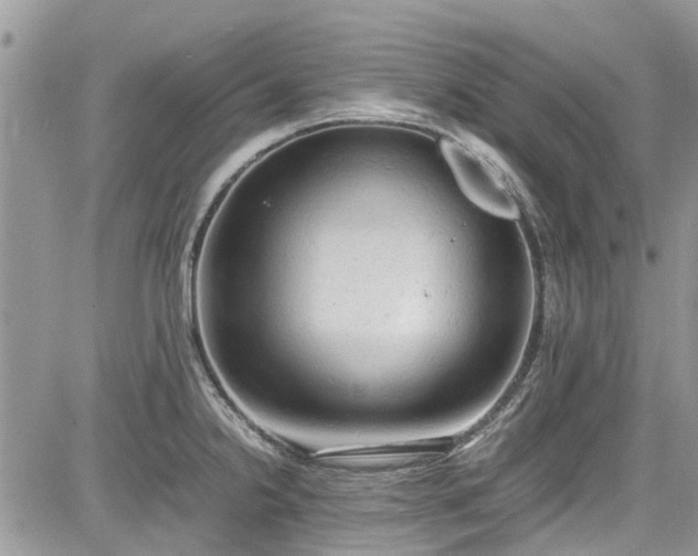 X0000085271238200703161421