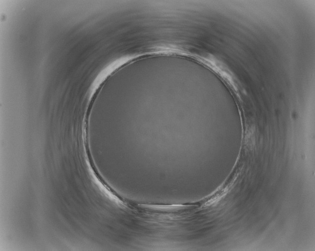 X0000085271239200703161421