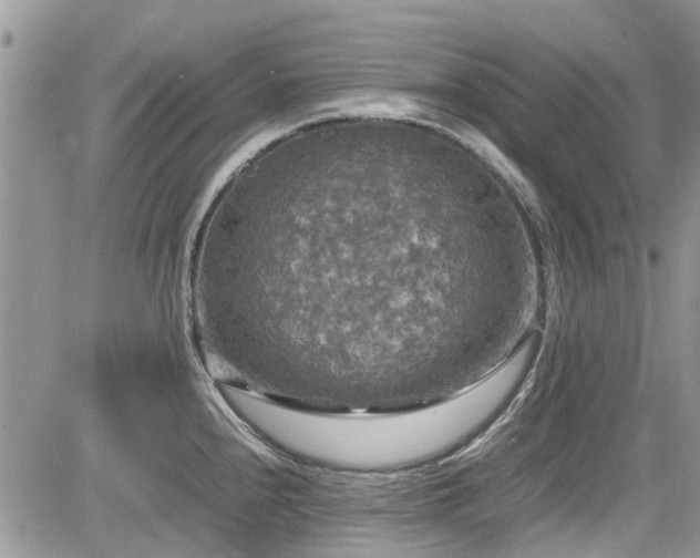 X0000085271240200703161421