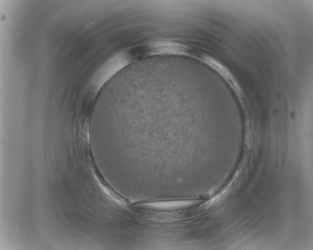 X0000085271241200703161421