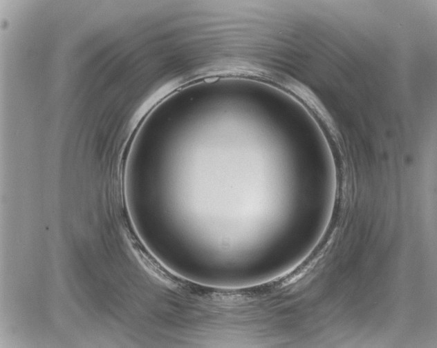 X0000085271242200703161421