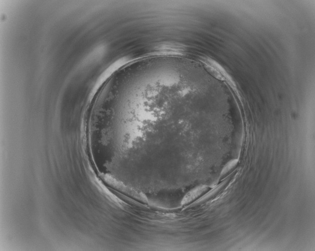 X0000085271243200703161421