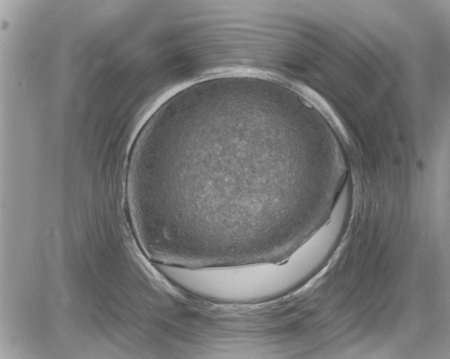 X0000085271244200703161421