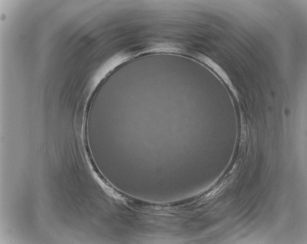 X0000085271245200703161421