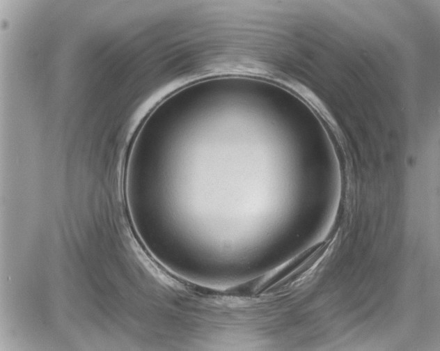 X0000085271246200703161421