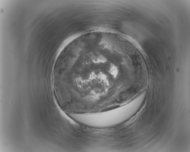 X0000085271247200703161421