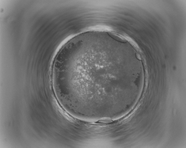 X0000085271248200703161421