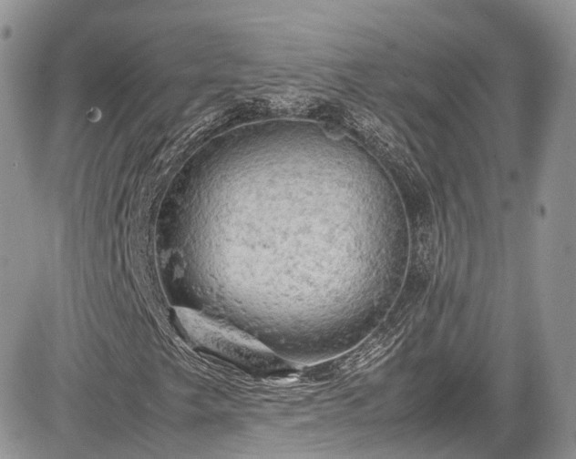 X0000085271249200703161421