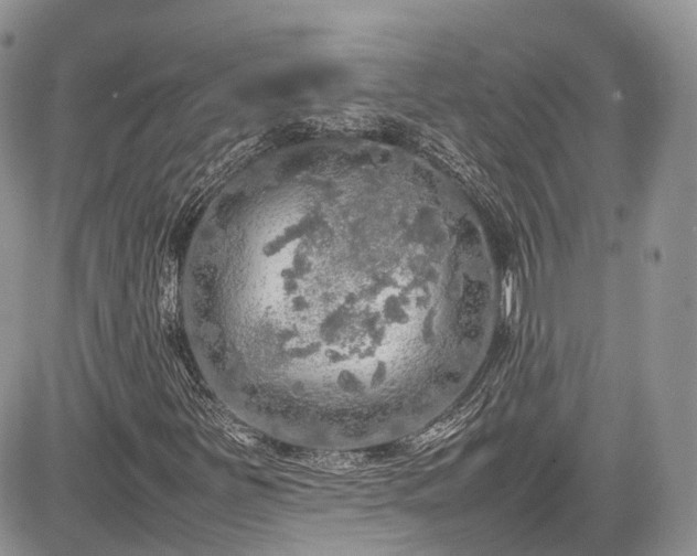 X0000085271251200703161421