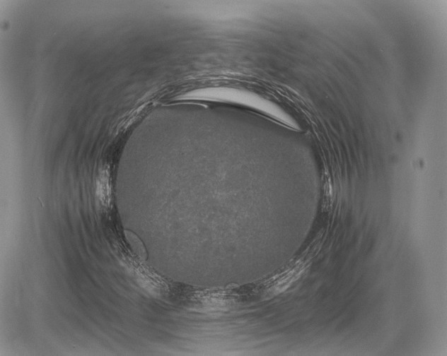 X0000085271252200703161421