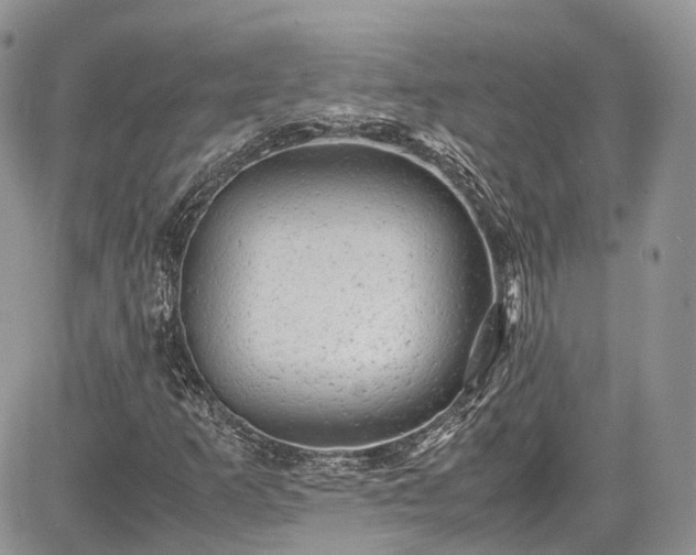 X0000085271253200703161421