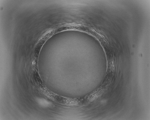 X0000085271254200703161421