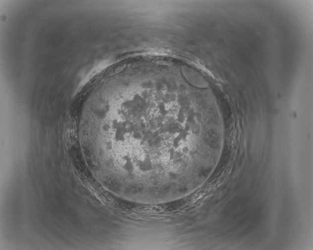 X0000085271255200703161421