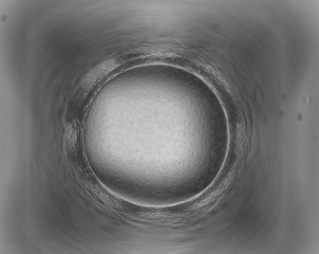 X0000085271257200703161421