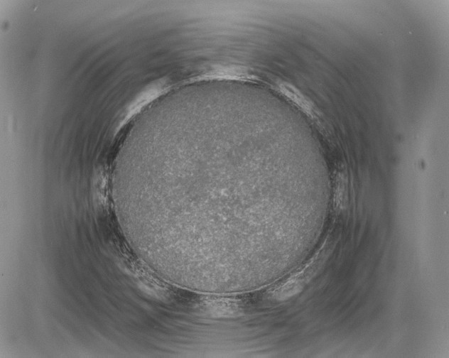 X0000085271258200703161420