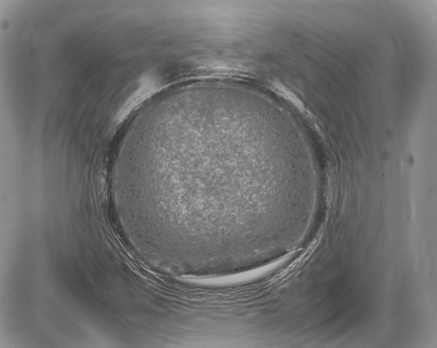 X0000085271259200703161420