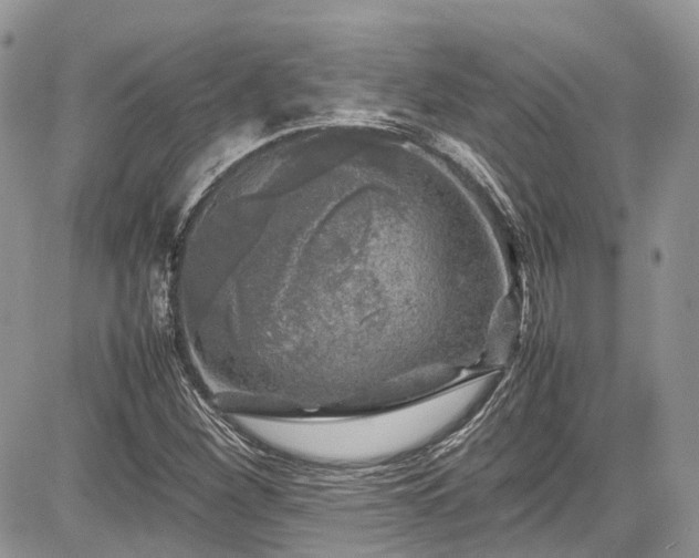 X0000085271260200703161420