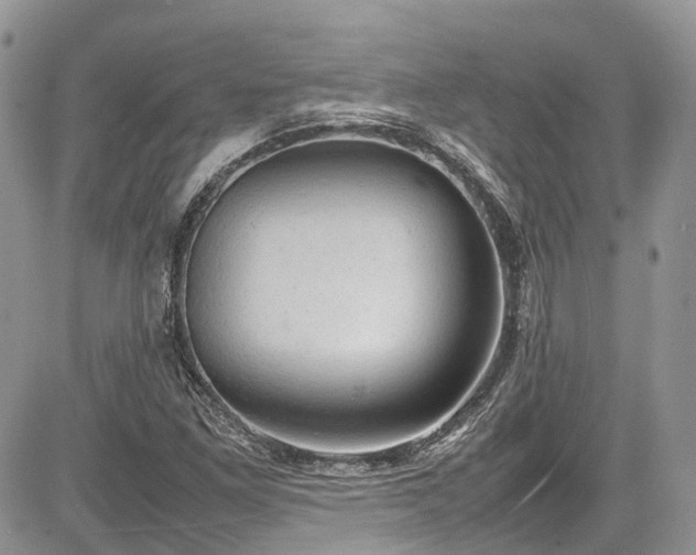 X0000085271261200703161420