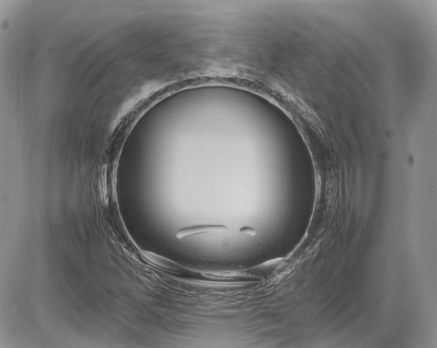 X0000085271262200703161420