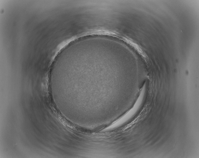 X0000085271264200703161420