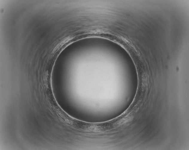 X0000085271265200703161420