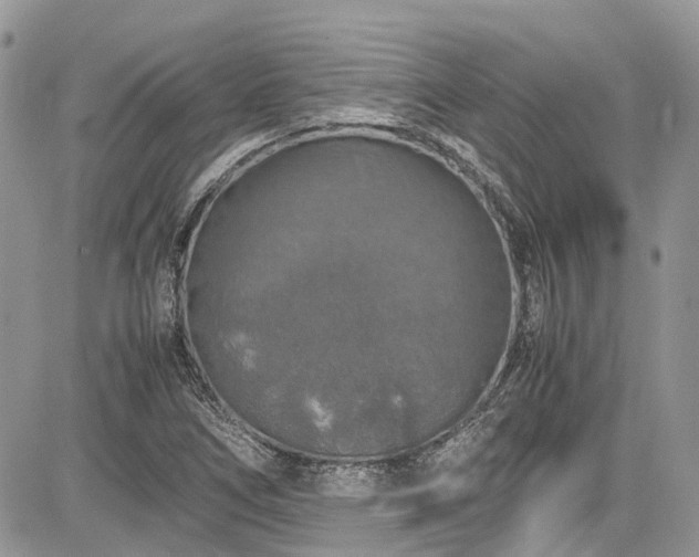 X0000085271266200703161420