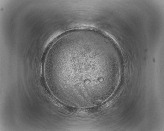 X0000085271267200703161420