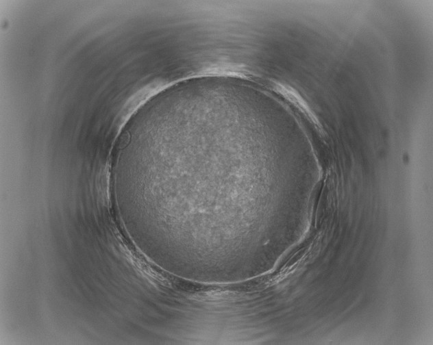 X0000085271268200703161420