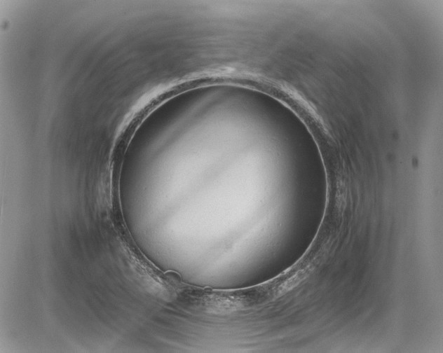 X0000085271270200703161420