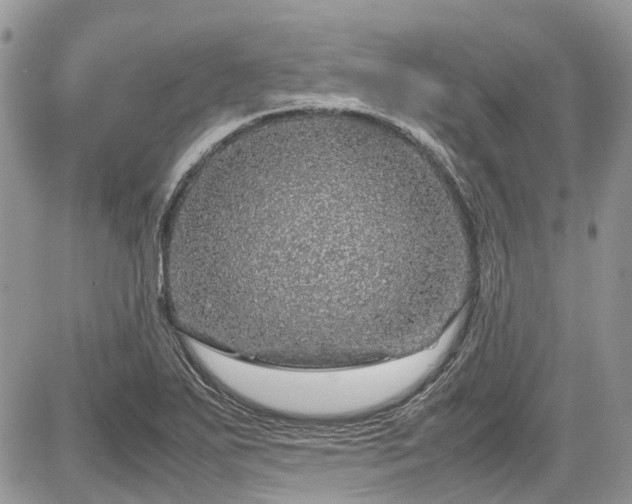 X0000085271271200703161420