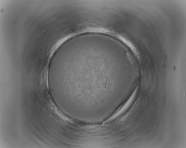 X0000085271272200703161420