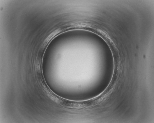 X0000085271273200703161420