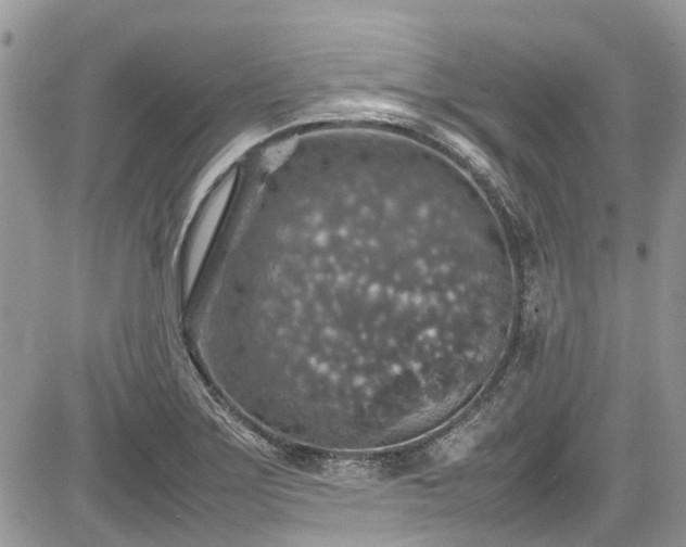 X0000085271275200703161420